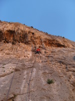 SNV80362.JPG