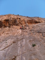 SNV80363.JPG
