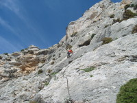 SNV80386.JPG