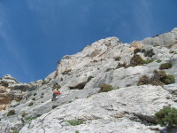 SNV80387.JPG