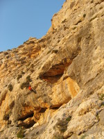 SNV80407.JPG