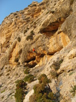 SNV80409.JPG