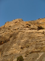 SNV80410.JPG