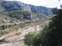IMG_5973.JPG