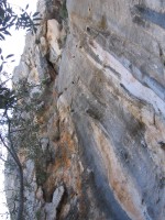 IMG_5974.JPG